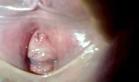 Sada je snimljeno iznenađenje free sex film hd
